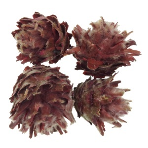 Cap plumosum roz 3-5cm 4/set