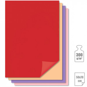Carton 50x70cm 300g Meyco 273