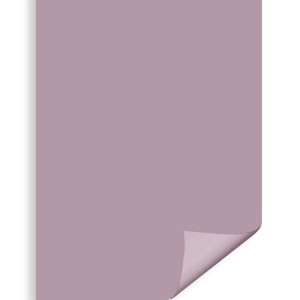 Carton color lila 70x100cm 270g Daco CN271L