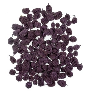 Con casuarina bordo inchis 1-3cm 165g
