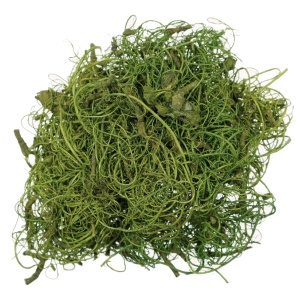Curly moos verde primavara 40g