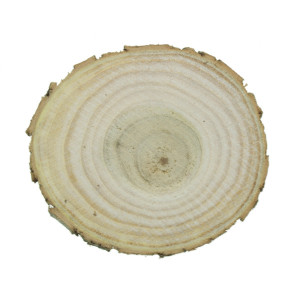 Felie lemn salcam rotund/oval 6-8x1cm - Img 2