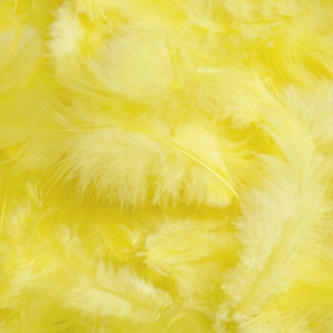 Pene 10g Canea HM0003 - Img 22