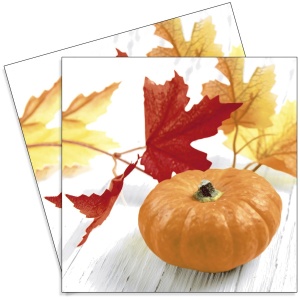 Servetel Frunza si dovleac 33x33cm 2/set 207455