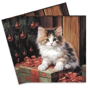 Servetel Pisica Molly 33x33cm 2/set 33318845