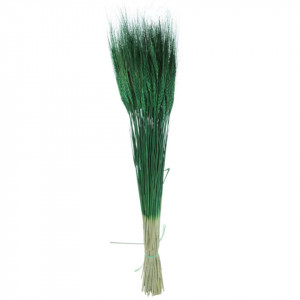 Spic fir lung verde