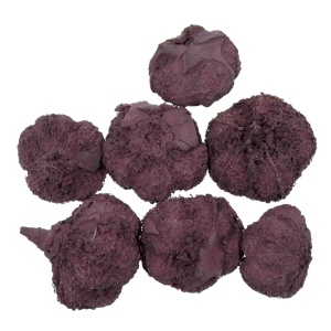 Usturoi bordo deschis 2-3cm 20g