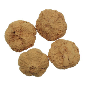 Usturoi galben ocru 1,5-3cm 20g