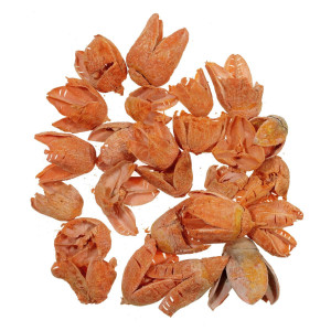 Bakuli portocaliu 29g