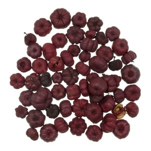 Bostanel bordo 15g