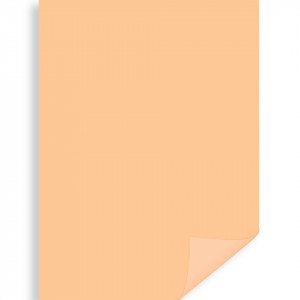 Carton 50x70cm 300g Meyco 273 - Img 12