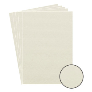 Carton carti de vizita ivoar A4 220g 10/set Clariana