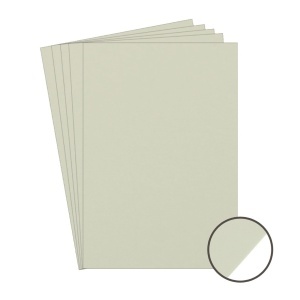 Carton carti de vizita ivoar neted A4 300g 5/set Favini