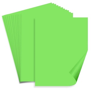 Carton color A4 160g 12/set Maestro - Img 9