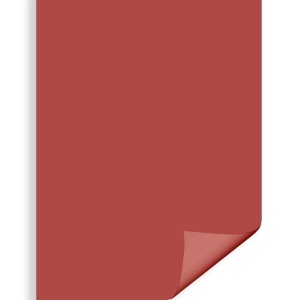 Carton color rosu Craciun 70x100cm 270g Daco CN271RC