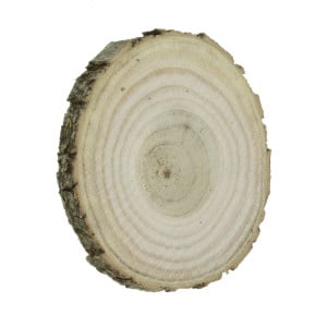 Felie lemn salcam rotund/oval 6-8x1cm