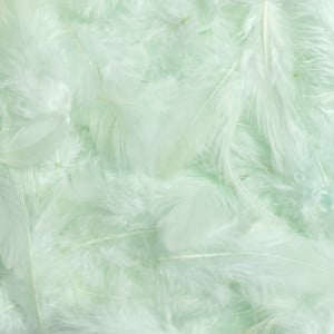 Pene 10g Canea HM0003 - Img 14