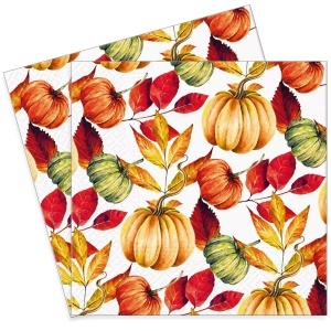 Servetel Dovleci si frunze de toamna 25x25cm 2/set SDL237200