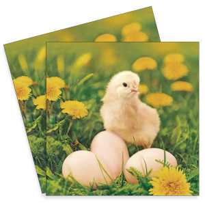 Servetel Pui cu oua 33x33cm 2/set 012001