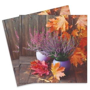 Servetel Vaze cu flori Erika 33x33cm 2/set 13318800