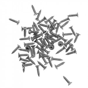 Surub argintiu pentru agatatoare tablou 10x0,5mm 10g/set XS10P