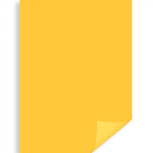 Carton 50x70cm 300g Meyco 273 - Img 13