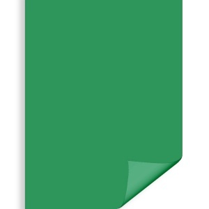 Carton color verde Craciun 70x100cm 270g Daco CN271V