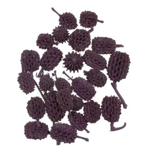 Con casuarina bordo inchis 1-3cm 30g