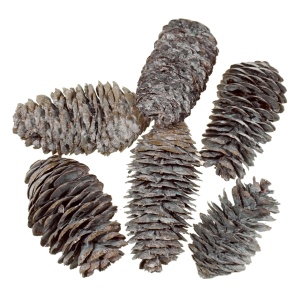 Con chinezesc alungit brumat cu sclipici 5-7cm 50g