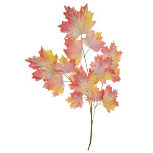 Creanga cu frunze artar ruginiu/galben 60cm