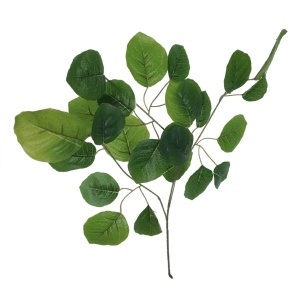 Creanga frunze magnolie verde 70cm