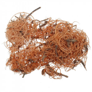 Curly moos portocaliu deschis 20g