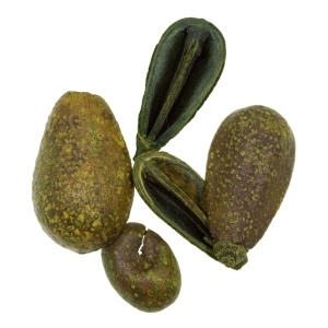 Mike verde 20g