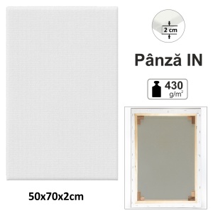 Panza pictura in pe sasiu 430g Rafaelo - Img 3