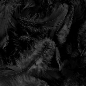Pene 10g Canea HM0003 - Img 24