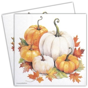Servetel Dovleac 33x33cm 2/set 13318815