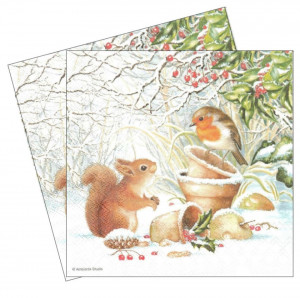 Servetel Veverita si pasare 33x33cm 2/set 33304915