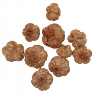 Usturoi aramiu 2-3cm 20g