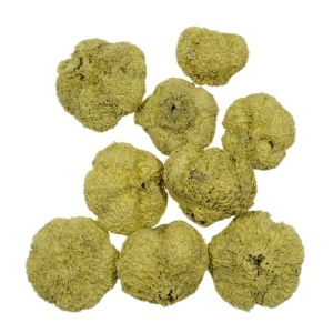 Usturoi galben deschis 2-3,5cm 20g