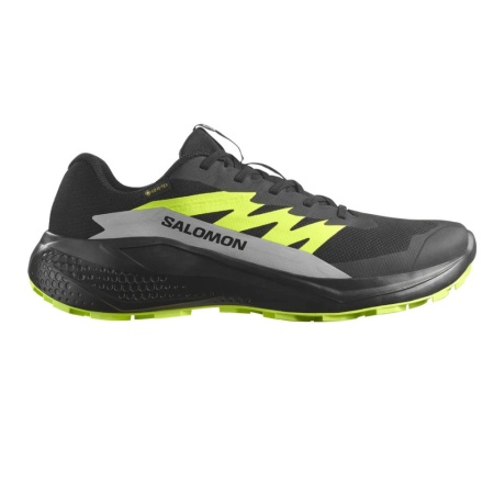 Pantofi Salomon Alphaglide GTX, impermeabili, gore-tex, culoare negru cu verde - Img 2