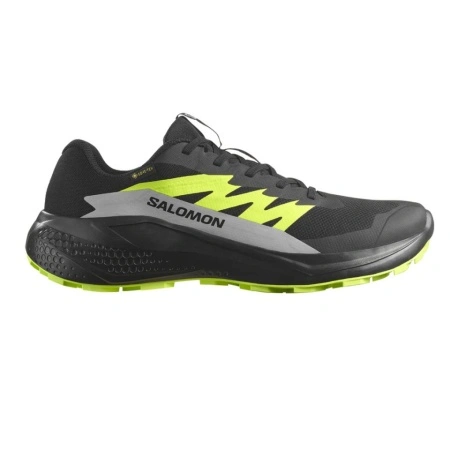 Pantofi Salomon Alphaglide GTX, impermeabili, gore-tex, culoare negru cu verde - Img 2