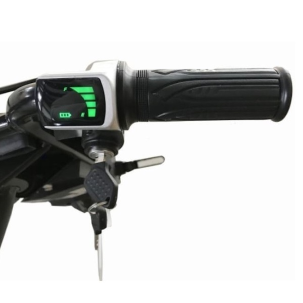 Jucărie electrică recreațională pentru exterior drift RoyalToys