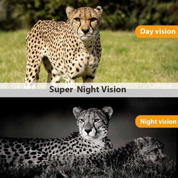 Hidden camera for hunting, wildlife, property surveillance, forests, isolated spaces, SD card, display - Img 8