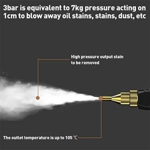 Aparat portabil cu abur, înaltă temperatură de curățare, 2500W - Img 5