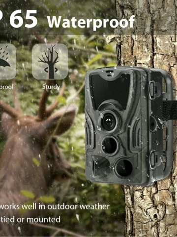 Cameră ascunsă vânătoare, wildlife, supraveghere păduri, spații izolate, SD card, cu display