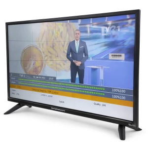 Малък телевизор, автомобилен телевизор 12/24V - DenisNetwork 48-61 см CI+ DVBS2, DVBT, DVBC LED HD - за каравана, камион, къмпинг, за батерии със соларен панел