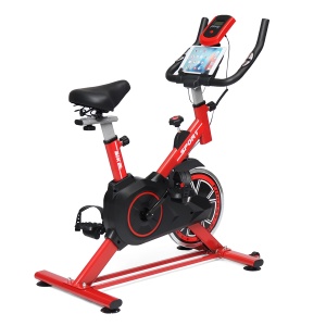 Home Fitness Spinning Bike with Adjustable Resistance, LCD Computer and 4 kg Flywheel