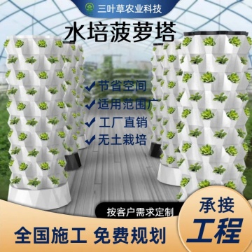 Turn hidroponic vertical 48 locuri de plantare, 6 straturi, rezervor 30 litri din plastic, sistem de cultivare fără sol pentru legume, verdețuri și căpșuni, grădină, seră, balcon - DenisNetwork™