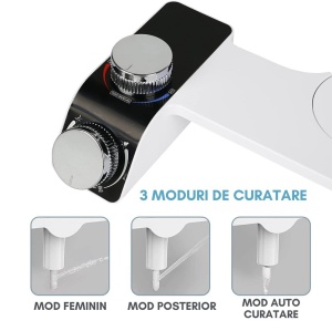 Bideu cu 3 moduri de curățare: feminin, posterior și auto-curățare