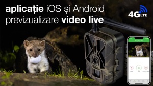 Cameră de vânătoare 36Mp cu SIM și TUYA (Transmite live pe telefon), Acumulator 8000Mah, ecran propriu - supraveghere proprietați, păduri, spații izolate - Img 8